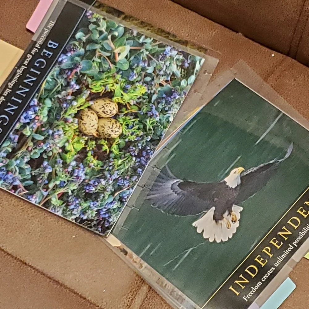 Homemade cover and 4 dashboards/dividers for a classic size disc bound planner